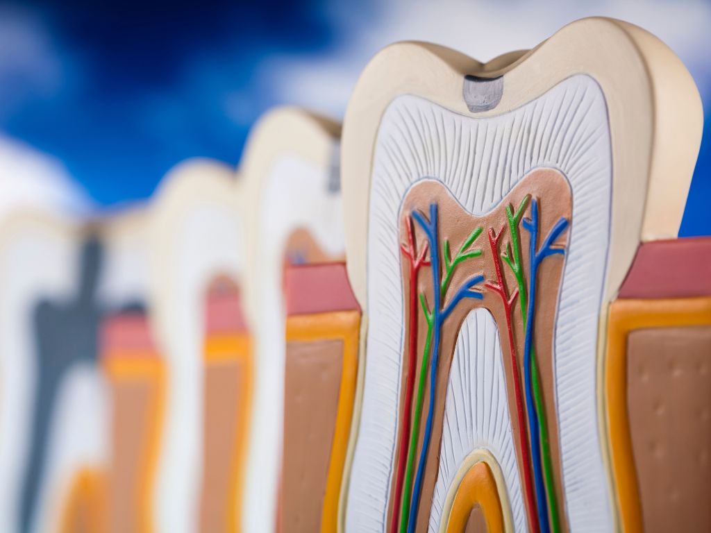 5 Simple Ways You Can Prevent Gum Disease